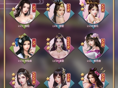 網站開發設計與游戲軟件開發 軟件設計制作的雙翼